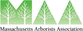 https://staging.naturaltree.com/wp-content/uploads/2019/02/1A.png