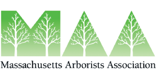 logo3