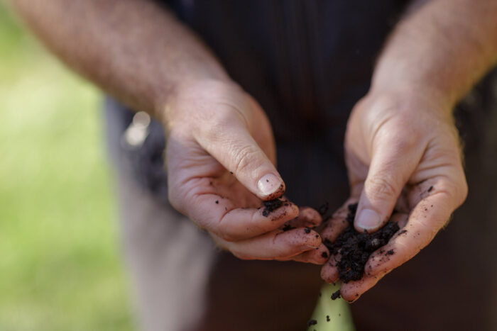 lawn water retention with organic matter